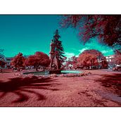 Mi proyecto del curso: Fotografía infrarroja: captura el mundo de lo invisible. Photograph, Photo Retouching, Digital Photograph, Outdoor Photograph, Architectural Photograph, and Color Theor project by Cristian Lemus Borja - 08.18.2023