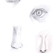 My project for course: Pencil Portraits: Light, Shadow, and Proportion. Traditional illustration, Fine Arts, Sketching, Pencil Drawing, Drawing, Portrait Drawing, Realistic Drawing, Artistic Drawing, and Figure Drawing project by aspayumo - 08.18.2023