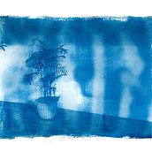 My project for course: Gum Bichromate: Alternative Photo Printing Ein Projekt aus dem Bereich H, werk, Bildende Künste, Prägung, DIY und Analogfotografie von Paulo Balmes - 20.08.2023