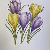 My project for course: Illustrating Nature with Watercolor and Pen Ein Projekt aus dem Bereich Traditionelle Illustration, Bildende Künste, Malerei, Zeichnung, Aquarellmalerei und Botanische Illustration von Nancy Elmore - 20.08.2023