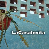 LaCasaInvita. Music, and Music Production project by Mauricio Facundo Pregot - 08.20.2023