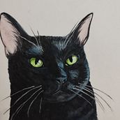 Meu projeto do curso: Retratos expressivos de animais em aquarela Ein Projekt aus dem Bereich Traditionelle Illustration, Aquarellmalerei, Realistische Zeichnung und Naturalistische Illustration von Amanda Toledo - 20.08.2023