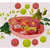 Mein Abschlussprojekt für den Kurs: Einführung in illustrierte Infografiken Menschenzelle . Information Design, Interactive Design & Infographics project by 5527bymb7c - 08.20.2023
