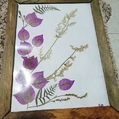 Mi proyecto del curso: Técnicas básicas de prensado botánico. Arts, Crafts, Fine Arts, Collage, DIY, Floral, and Plant Design project by soyromerosolo - 08.20.2023