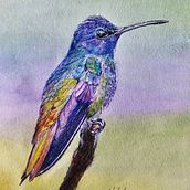 Mi proyecto del curso: Retratos de Mascotas en Lápices de Colores. Een project van Traditionele illustratie y Naturalistische illustratie van Alessandro GR - 20.08.2023