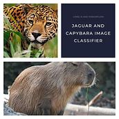 Jaguar and Capybara Images Classifier with Tensorflow. Programming, Web Development, and Artificial Intelligence project by Gonzalo Cayunao Erices - 08.19.2023