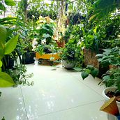 Tiny Balcony garden . Arsitektur Lanskap proyek oleh Tilat Khayer - 08.21.2023