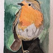 Watercolor bird. Un progetto di Pittura di Natalie Smith - 21.08.2023
