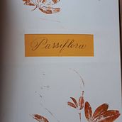 Erbario a nature printing. Traditional illustration, Arts, Crafts, Education, L, scape Architecture, Creativit, and Picturebook project by Antonella Armeni - 08.21.2023