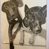 New Friends  9 x 12 Graphite drawing on Arches Watercolor paper. Sketching, and Pencil Drawing project by Lisa Edwards - 08.21.2023