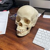 My project for course: Intro to Anatomy Drawing with Graphite Pencil. Fine Arts, Pencil Drawing, Drawing, Realistic Drawing, and Figure Drawing project by William S - 08.22.2023