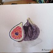 Figs. Un progetto di Pittura ad acquerello di Plamen Pavlov - 18.08.2023
