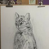 My project for course: Expressive Drawing with Charcoal. Un projet de Beaux Arts, Dessin, Dessin de portrait et Illustration naturaliste de Marina Cvetkovic - 24.08.2023