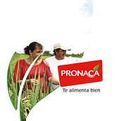 PRONACA presentación. Design, Br, ing e Identidade, e Design editorial projeto de Pablo Núñez Argudo - 17.11.2022