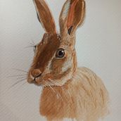 My project for course: Experimental Watercolor Techniques for Beginners. Traditional illustration, Fine Arts, Watercolor Painting, and Naturalistic Illustration project by jutta_atkinson - 08.25.2023