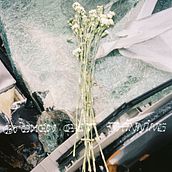 Broken But Shinning. Photograph, Editorial Design, and Narrative project by alehsy - 09.01.2023
