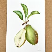 Meu projeto do curso: Ilustração botânica realista: entre em contato com a natureza. Painting, Watercolor Painting, Botanical Illustration, and Naturalistic Illustration project by Amanda Lopes - 08.27.2023