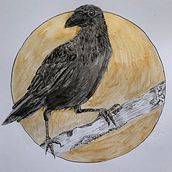 My project for course: Realistic Illustration of Birds with Imaginative Elements. Pencil Drawing, Drawing, Ink Illustration, and Naturalistic Illustration project by Evie Wheeler - 08.27.2023