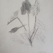 Desenho intuitivo. Traditional illustration, and Pencil Drawing project by Andrea Scannapieco - 08.28.2023