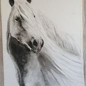 Horse in monotone Ein Projekt aus dem Bereich Aquarellmalerei von allycarr66 - 29.08.2023