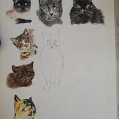 Mon projet du cours : Représentation de la nature à l'aquarelle et au stylo. Un progetto di Illustrazione tradizionale, Belle arti, Pittura, Disegno, Illustrazione botanica e Pittura ad acquerello di Antoinette Posocco - 28.08.2023
