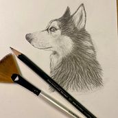 My project for course: Naturalistic Animal Drawing with Graphite Pencil. Un progetto di Illustrazione tradizionale, Disegno a matita, Disegno e Illustrazione naturalistica di Ingrid Wolf-Hattinger - 29.08.2023