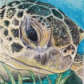 Acuarela Tortuga Marina. Een project van Aquarelschilderen y Traditionele illustratie van artbytuca - 29.10.2022