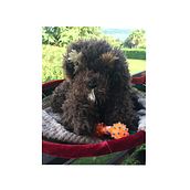 Il mio progetto del corso: Peluche realistici a maglia: crea un cucciolo con filati . % faustabennani tarafından hazırlanan El, af Sanatları, Kendin Yap, Örgü örmek, Ve Tekstil Tasarımı projesi - 08.29.2023