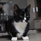 Projekt podstaw fotografii.. Photograph, and Digital Photograph project by manufakturagr - 09.29.2023