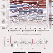 Variazione della contaminazione da PFAS nelle acque del Veneto. Een project van Informatieontwerp y  Infographics van Felice Simeone - 30.08.2023