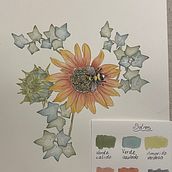 Mi proyecto del curso: Dibujo y composición naturalista en acuarela Ein Projekt aus dem Bereich Traditionelle Illustration, Zeichnung, Aquarellmalerei und Naturalistische Illustration von Judith Östman - 30.08.2023