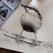 Mi proyecto del curso: Acuarela artística para ilustración de aves. Un progetto di Illustrazione tradizionale, Pittura ad acquerello, Disegno realistico e Illustrazione naturalistica di José Sosa - 10.09.2023