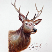 Meu projeto do curso: Retratos expressivos de animais em aquarela. Traditional illustration, Watercolor Painting, Realistic Drawing, and Naturalistic Illustration project by Paloma Linck - 08.29.2023