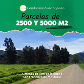 Mi proyecto del curso: Copywriting para redes sociales: VALLE Angosto. Writing, Cop, writing, Social Media, and Communication project by jp_regeasse - 08.30.2023