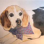 McGruff the Beagle. Un proyecto de Dibujo con lápices de colores de Colleen Betker - 31.07.2023