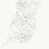 Création des motifs floraux . Un progetto di Illustrazione tradizionale di sabine94 - 31.08.2023