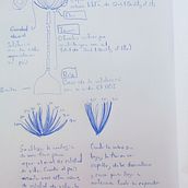 Mi proyecto del curso: Visualización de datos para diseños creativos y narrativos . Design grafic, Proiectarea informațiilor, Design interactiv & Infografice de Alvaro Pérez - 09.01.2023