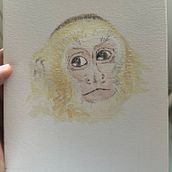 Mi proyecto del curso: Técnicas experimentales de acuarela para principiantes. Un progetto di Illustrazione tradizionale, Belle arti, Pittura ad acquerello e Illustrazione naturalistica di ateneamalmierca8 - 01.09.2023