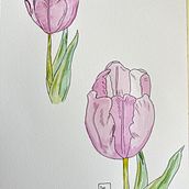 Cours aquarelle et croquis. Watercolor Painting, and Sketchbook project by Maëlle Allegrini - 09.02.2023