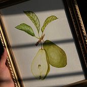 Meu projeto do curso: Ilustração botânica realista: entre em contato com a natureza. Painting, Watercolor Painting, Botanical Illustration, Naturalistic Illustration, and Creativit project by Isabelle Santos - 09.03.2023