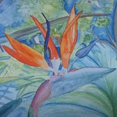 Strelitzia Garden. Traditional illustration, and Watercolor Painting project by ash.hannes - 09.03.2023
