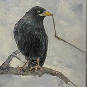 Mój projekt z kursu: Klasyczne malarstwo olejne: naturalistyczne portrety ptaków. Un progetto di Belle arti, Pittura, Pittura ad olio e Illustrazione naturalistica di Beata Dulian - 03.09.2023