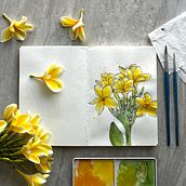 My project for course: Botanical Sketchbooking: A Meditative Approach. Un progetto di Illustrazione tradizionale, Bozzetti, Disegno, Pittura ad acquerello, Illustrazione botanica e Sketchbook di Tanya Meschcerina - 31.08.2023