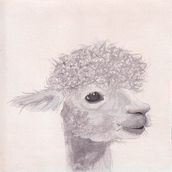 Some of my personal watercolor / mixed media work Ein Projekt aus dem Bereich Aquarellmalerei, Traditionelle Illustration und Bildende Künste von Carmen Kölbl - 03.09.2023