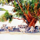Still life landscape,cityscape,floral and portrait. Painting, Traditional illustration, Fine Arts, Creativit, and Watercolor Painting project by Monica Durrant - 09.04.2023