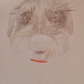 Mia en proceso. Traditional illustration, and Naturalistic Illustration project by CRISTIAN ALVAREZ - 09.04.2023