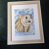 Barnowl small Ein Projekt aus dem Bereich Aquarellmalerei von Angelique Termeer - 04.09.2023