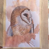 Barnowl big Ein Projekt aus dem Bereich Aquarellmalerei von Angelique Termeer - 04.09.2023