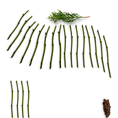 Meu projeto do curso: As leis da percepção visual: unidade, peso, equilíbrio e movimento. Un projet de Architecture, Direction artistique, Conseil créatif, Conception éditoriale, Beaux Arts, Design graphique , et Scénographie de marcielerommel - 05.09.2023