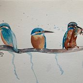 My project for course: Artistic Watercolor Techniques for Illustrating Birds. Traditional illustration, Watercolor Painting, Realistic Drawing, and Naturalistic Illustration project by phoebe.carroll161 - 09.06.2023